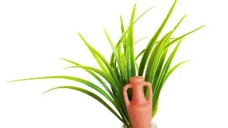 Sydeco Decor Amphora Pm 9 cm 349000