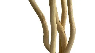 Sydeco Decor Aqua Branch Fish Nest Fan 31 cm 316203