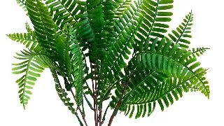 Sydeco Decor Fern 35 cm 316183