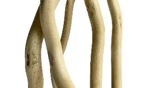 Sydeco Decor Aqua Branch Fish Nest 26 cm 316201