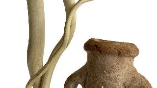 Sydeco Decor Aqua Branch Jar 24 cm 316199