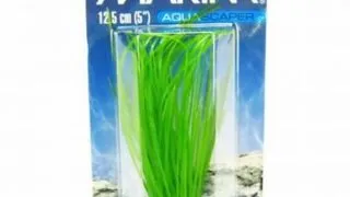 Marina Planta Hairgrass 12.5 cm PP511