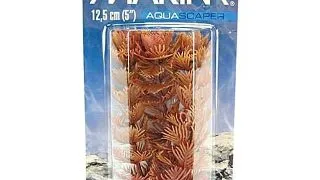 Marina Planta Foxtail 20 cm PP810