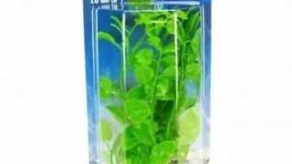 Marina Planta Cardamine 20 cm PP805