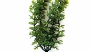 Marina Planta Ambulia 37,5 cm PP1502