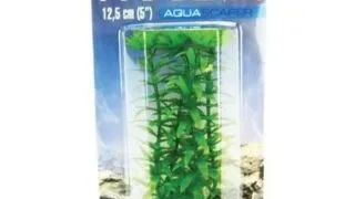 Marina Planta Ambulia 12.5 cm PP502