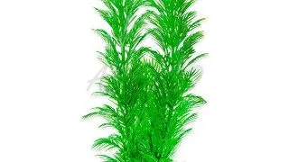 TETRA PLANTA DECOART GREEN CABOMBA M 23 CM