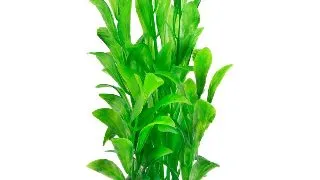 TETRA PLANTA DECOART HYGROPHYLA L 30 CM
