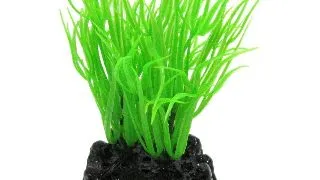 Resun Planta Plastic Sea Grass Green 10 cm