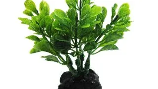 Resun Planta Plastic Boxwood Green 8 cm
