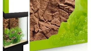 Juwel Decor Stone Clay 600/550 MM