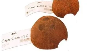 Jbl Decor Cocos Cava 1/2 M