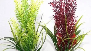 Sydeco Plante Tropica 20cm 350107