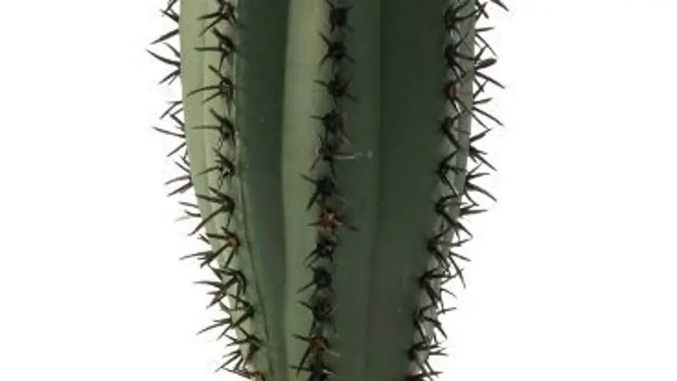 1/11693