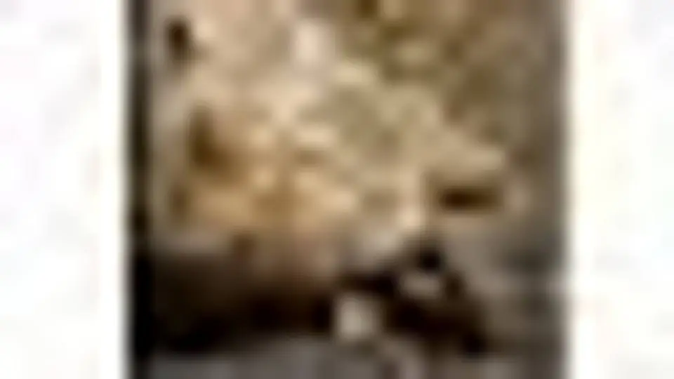 1/12053