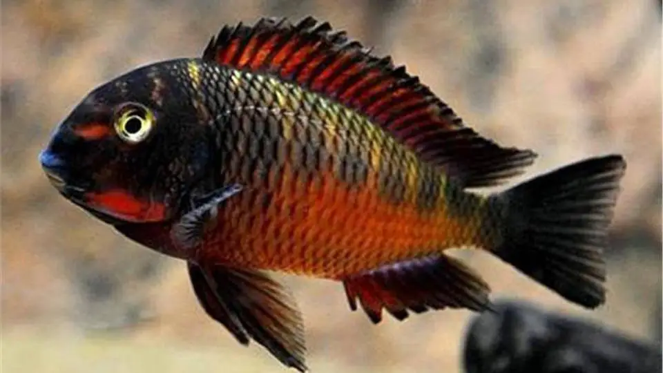1/14574