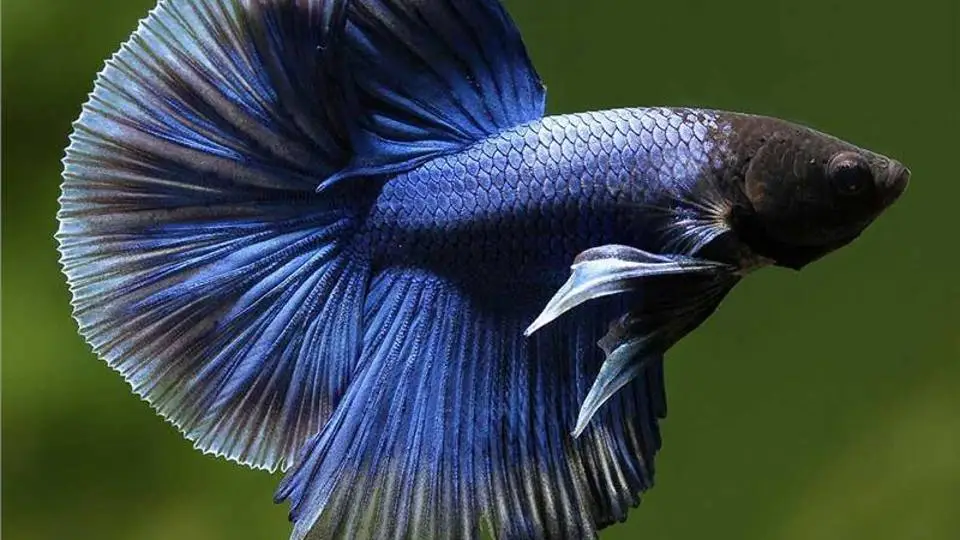 1/15403