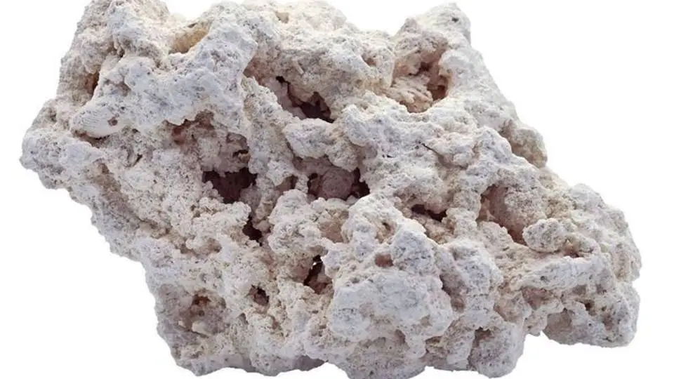 1/19032