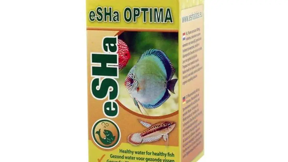 1/19349
