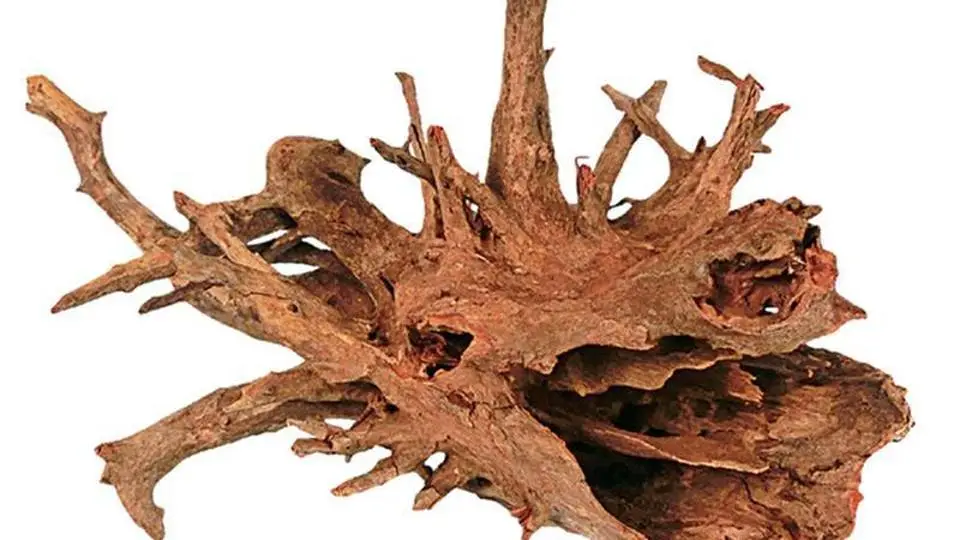 1/19843
