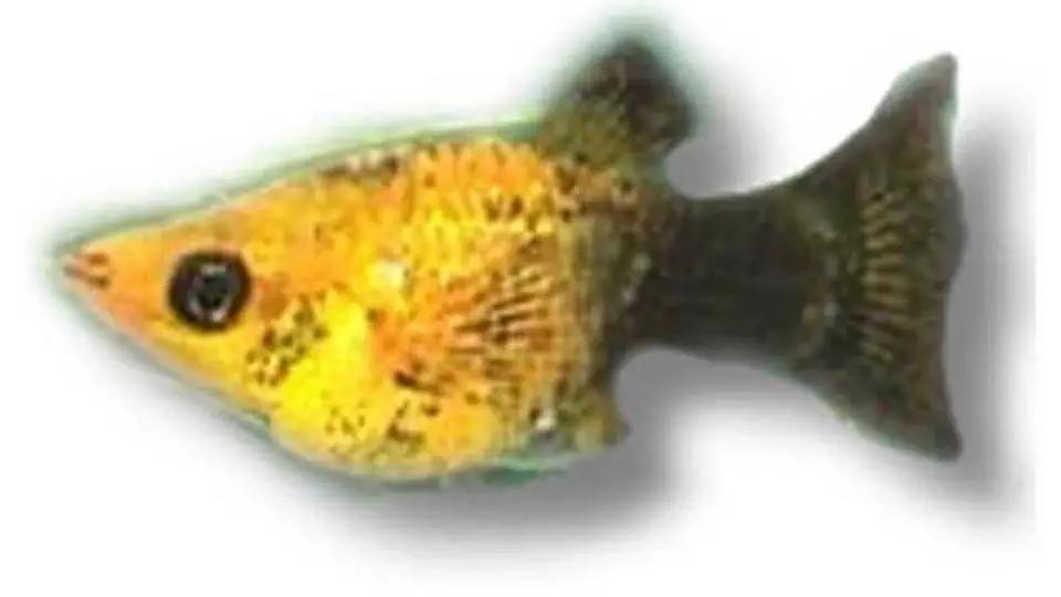 2/20014