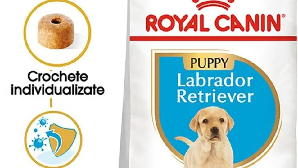 2/2016