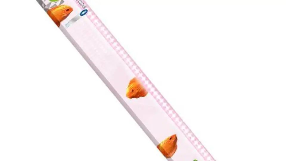 2/22782