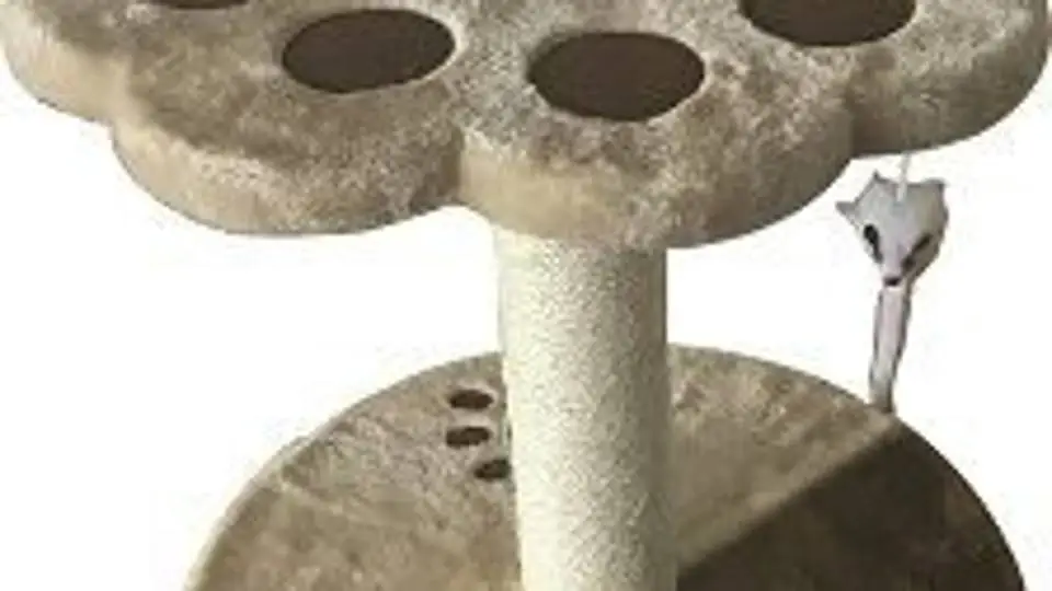 2/22859