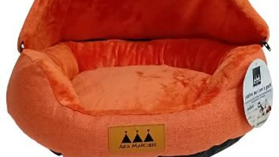 2/23070