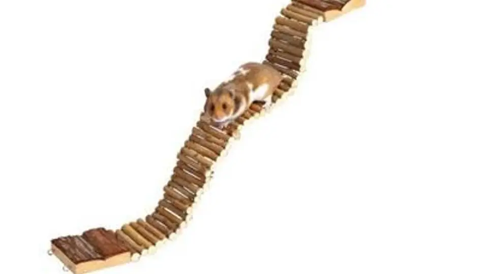 2/23962