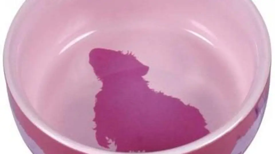 2/24004