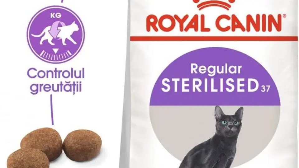 2/2525