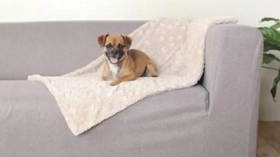 2/26154