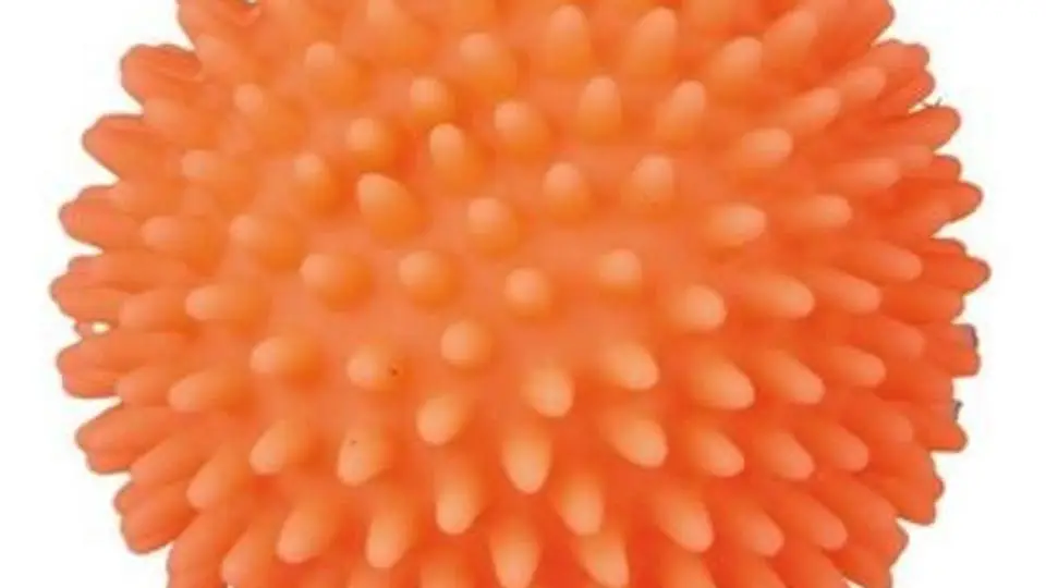 2/26159