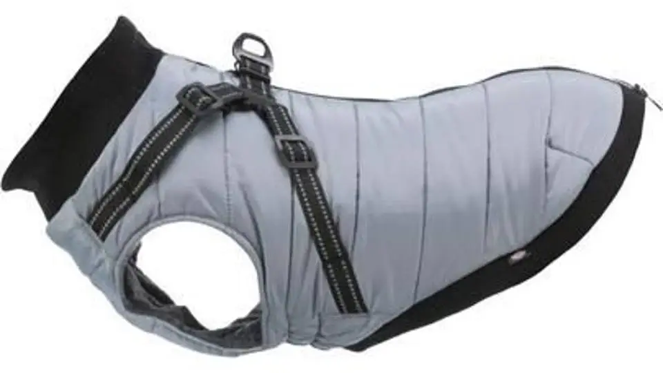 2/26451