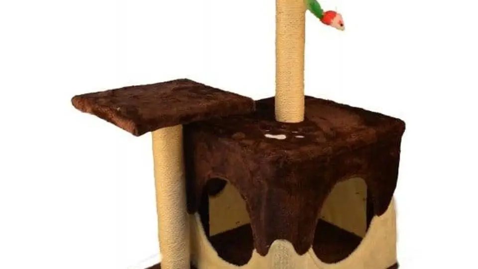 2/2697