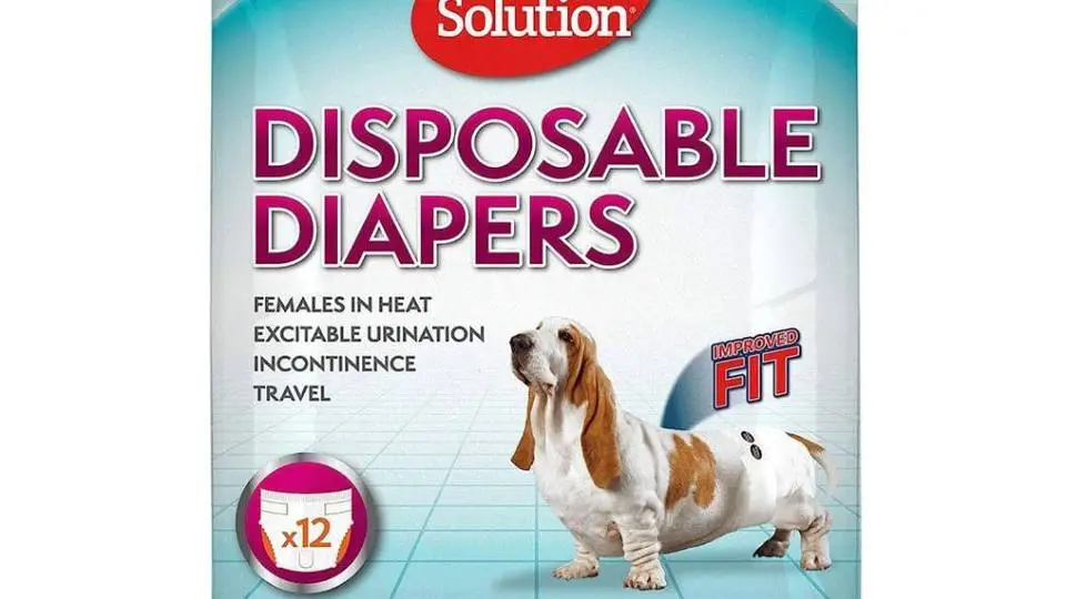 3/36946