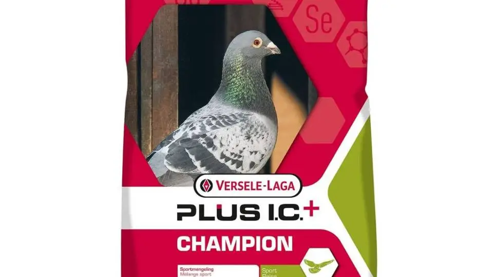 3/39528