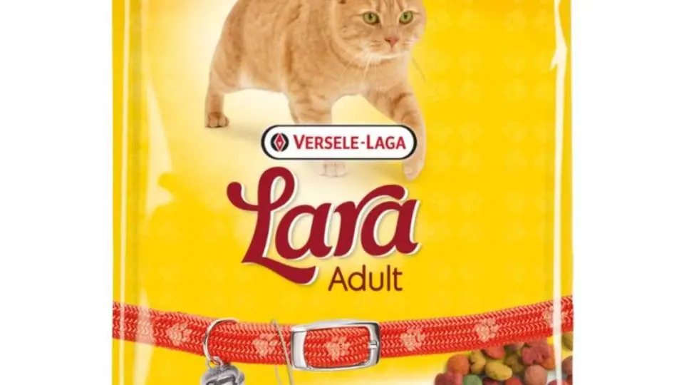 4/40574