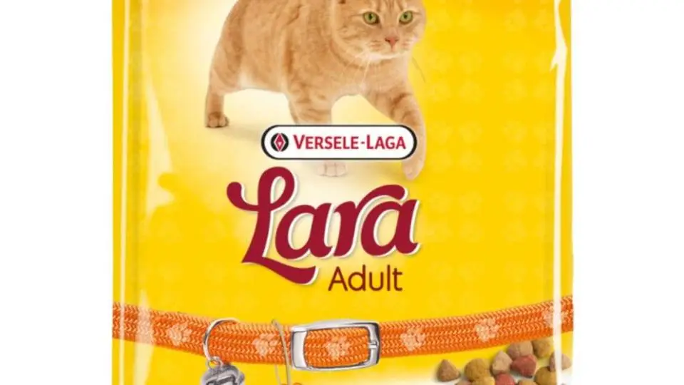4/40676