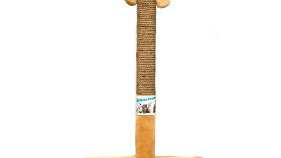 4/41781