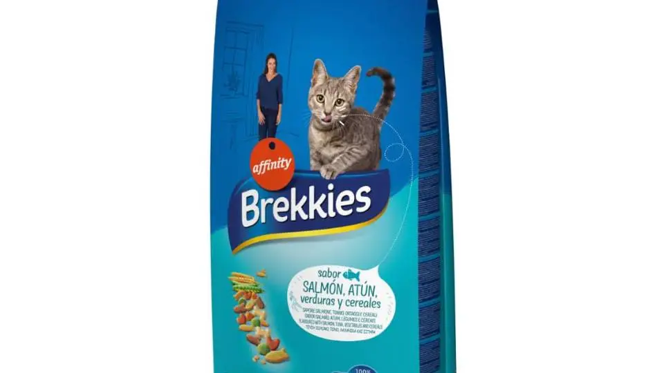 4/42008