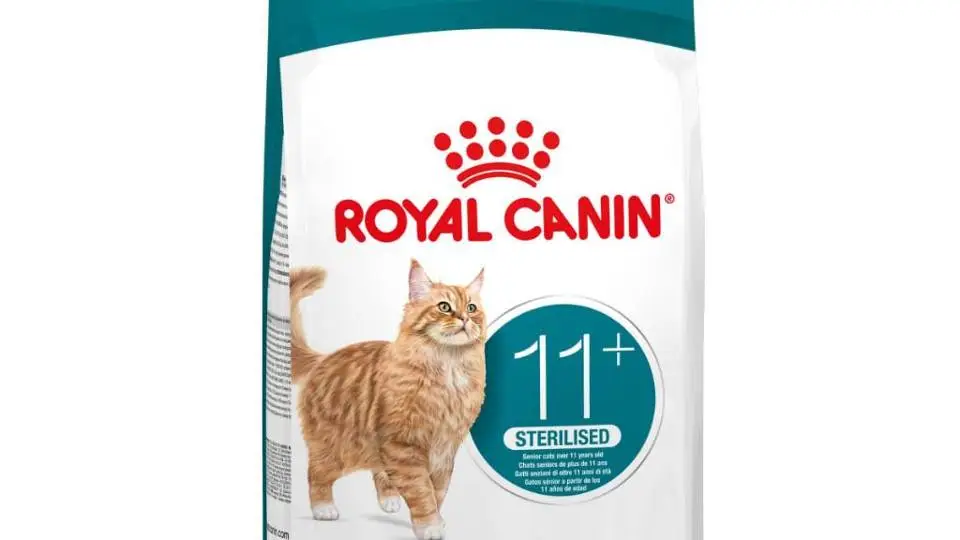 4/42384