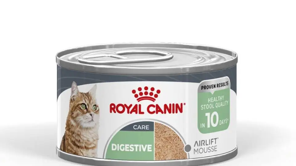 4/42750
