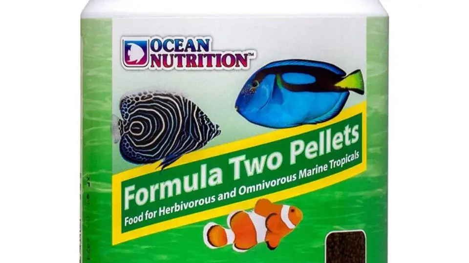 4/42947