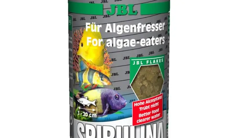 4/43137