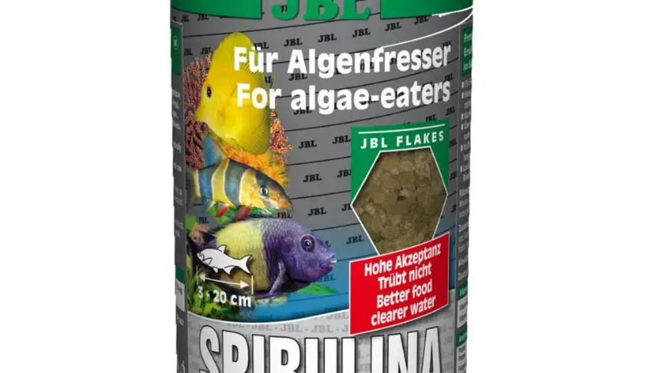 4/43138