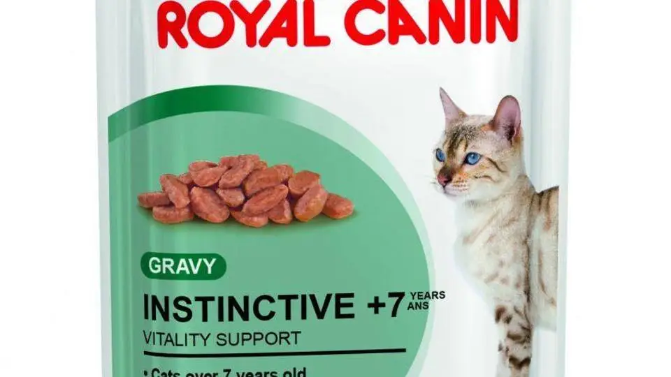 4/46169