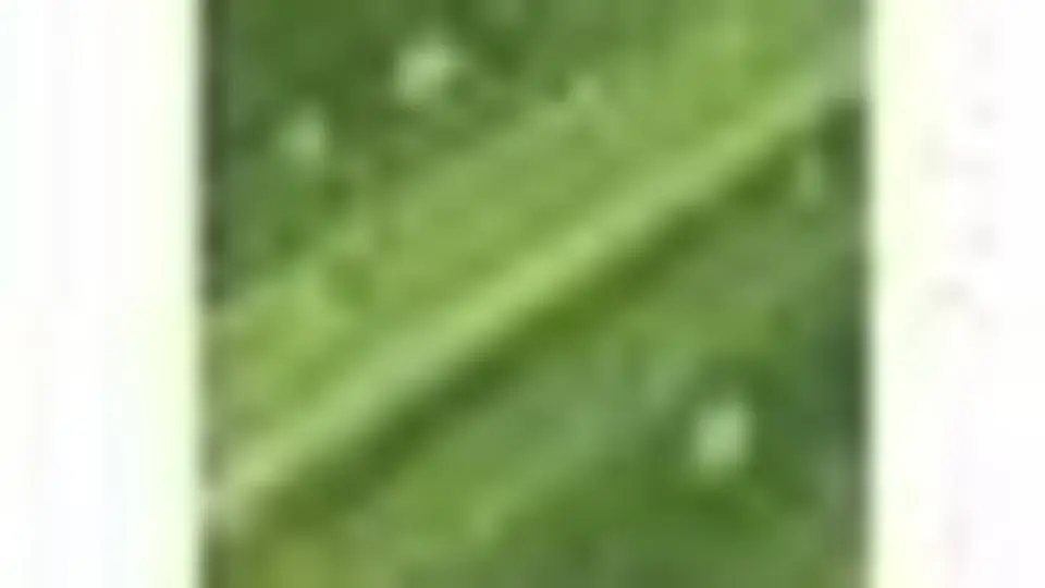 4/46430