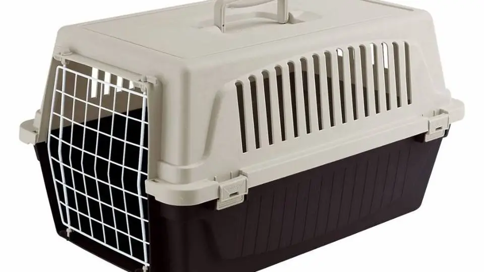 4/46953
